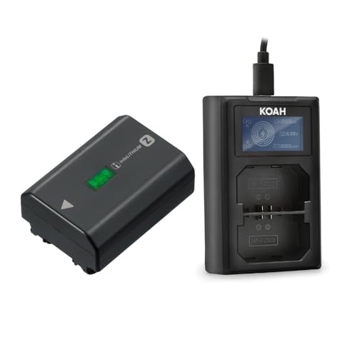 Sony NP‑FZ100 + USB‑C Charger