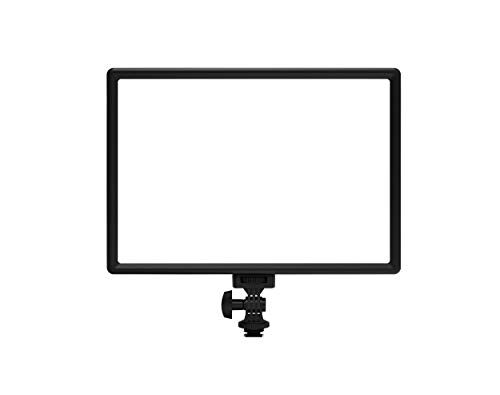 RALENO LED Video Light