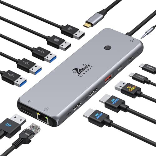LIONWEI 13 in 1 USB C Dock