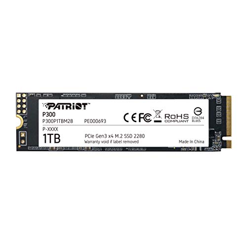 Patriot P300 1TB