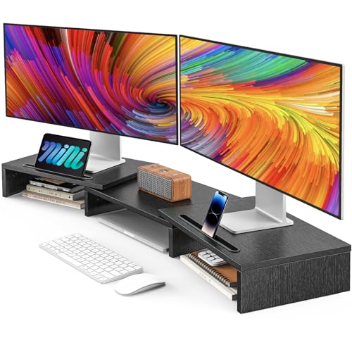 AMERIERGO Dual Monitor Stand Riser