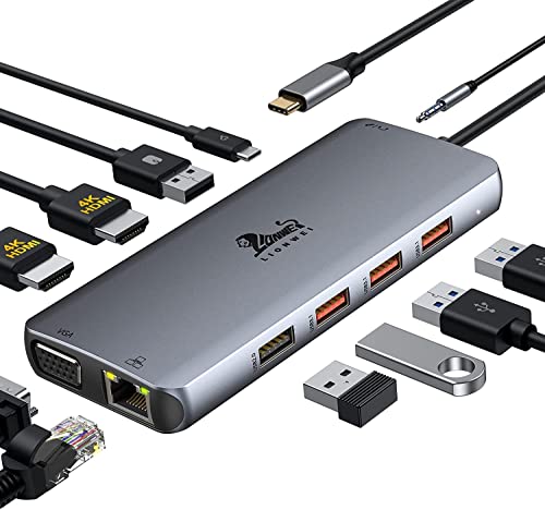 LIONWEI 11-in-1 Docking Station