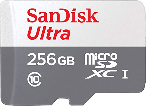 SanDisk 256GB microSD (Made for Amazon)