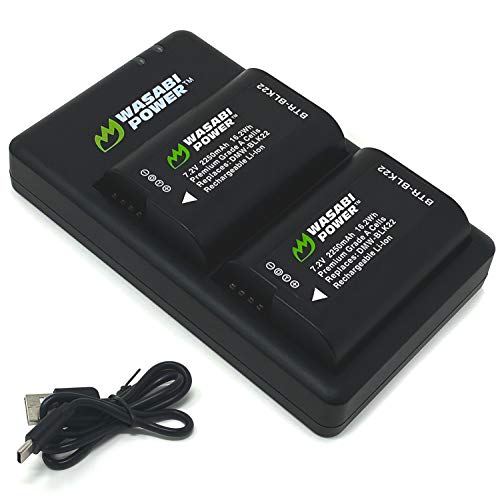 Wasabi Power Battery + Dual USB-C Charger