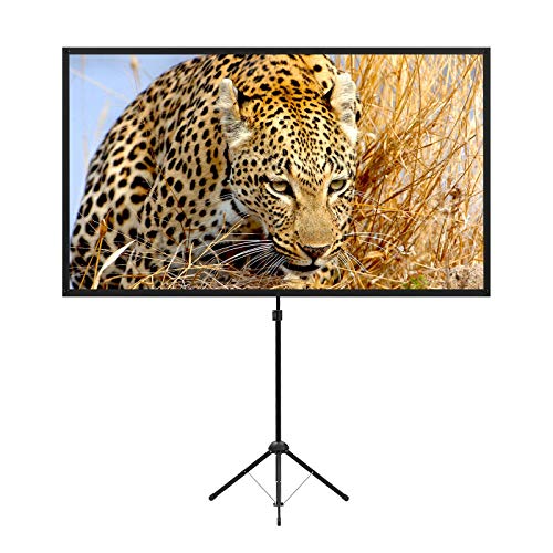 Portable Projector Screen with Stand, 80 Inch
