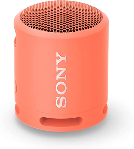 Sony SRS-XB13