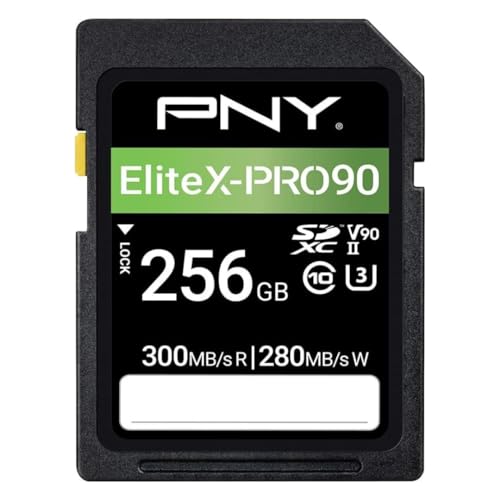 Best SD Cards for 4K Summer Travel Footage (2026)