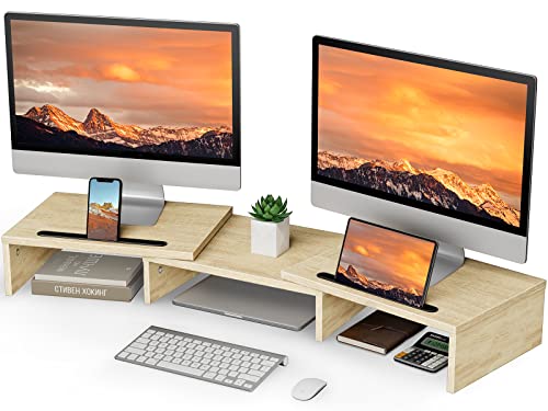 LORYERGO Dual Monitor Stand
