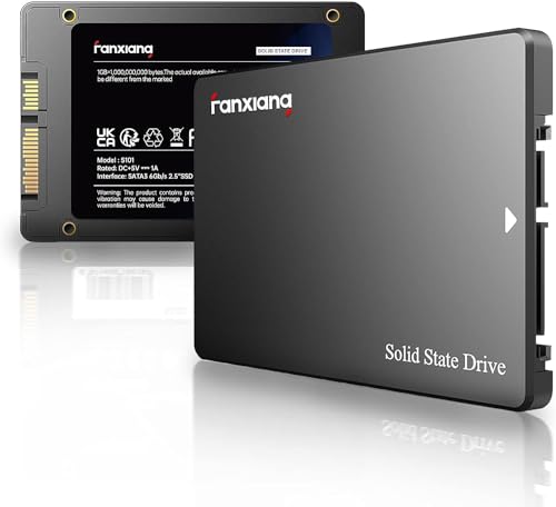 fanxiang S101 1TB SATA SSD