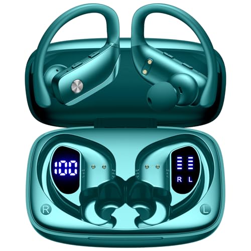 bmani Noise Cancelling Earbuds