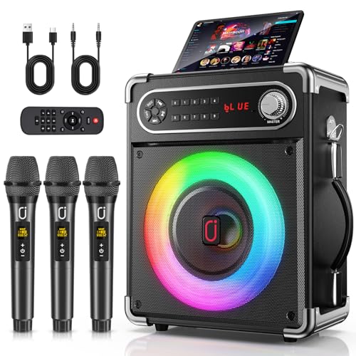 HWWR Karaoke Machine with 3 Microphones
