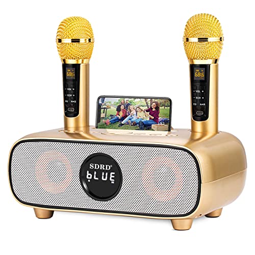 DLARA Karaoke Machine