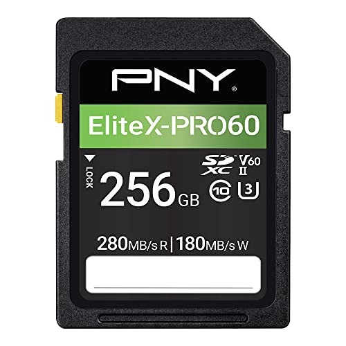PNY 256GB EliteX-PRO60 SD Card