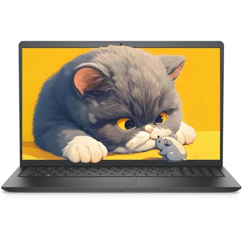 Dell Vostro 3530 (1TB NVMe)