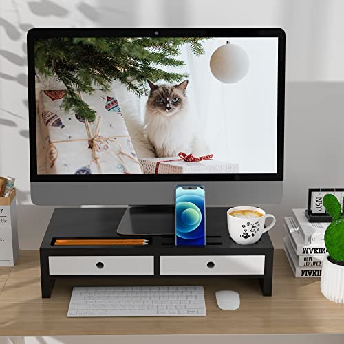 Monitor Stand Riser (Black & White)