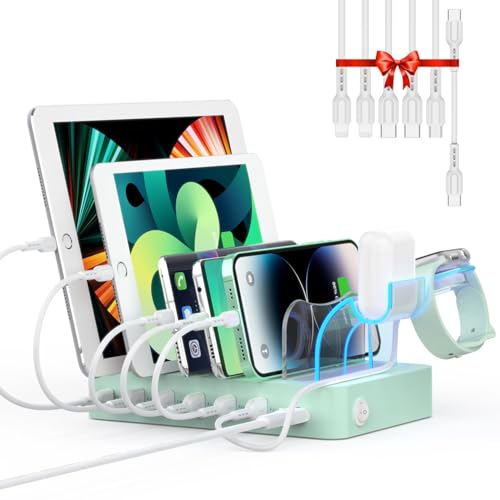 SooPii 60W 6-Port Station