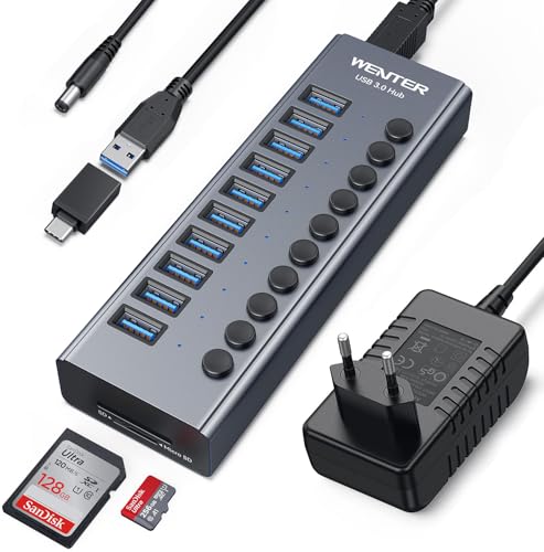 WENTER Powered 10-Port USB Hub