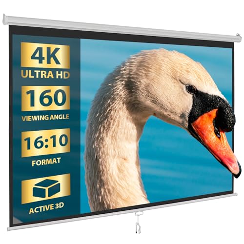 SUPER DEAL 100" Projection Screen