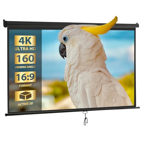 SUPER DEAL 100" 16:9 HD Projection Screen