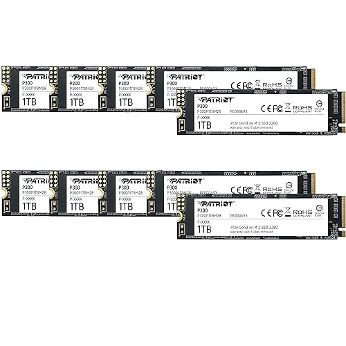 Patriot P300 1TB