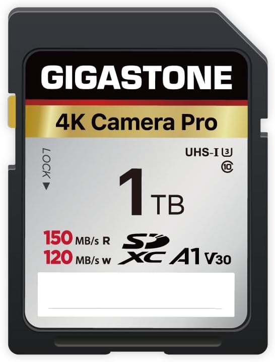 GIGASTONE 1TB SDXC 4K Pro