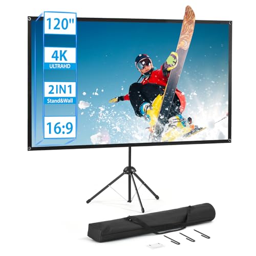 excelimage 120" Screen