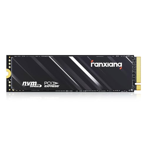 Fanxiang 1TB NVMe SSD S690Q
