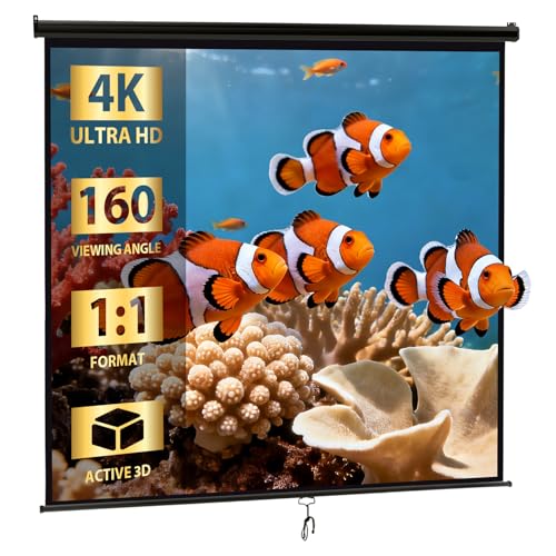 SUPER DEAL 120" Manual Pull-Down