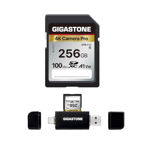 [5-Yrs Free Data Recovery] GIGASTONE 256GB SD Card with USB Type C Card Reader, 4K Camera Pro, A1 V30 U3 SDXC Memory Card Compatible with Canon Digital Camera, with 1 Mini case