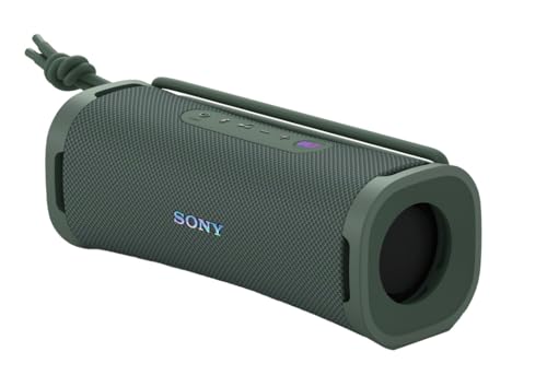 Sony ULT Field 1 (Forest Gray)