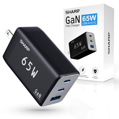 Sharp 65W 3‑Port