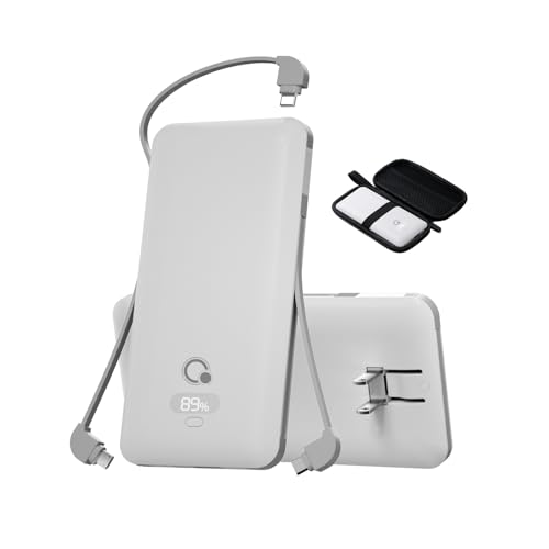 Brand Q 10000mAh
