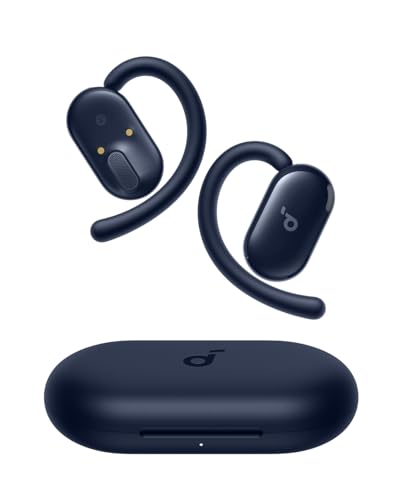 Soundcore V20i (Budget)