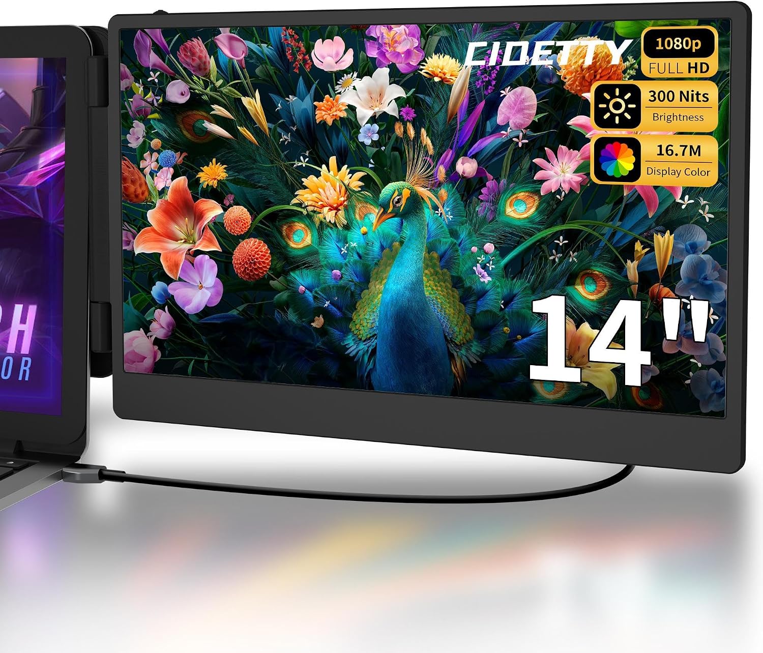 CIDETTY 14" Extender