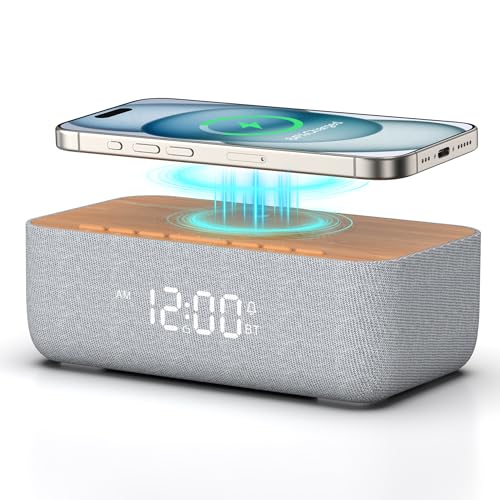 REACHER Alarm Clock Radio