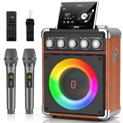 HWWR Karaoke Machine with 2 Microphones