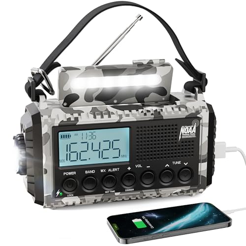 Raynic Solar Radio, 12000mAh