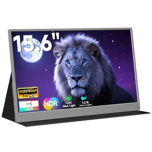 AYY 15.6" Portable Monitor (Space Grey)