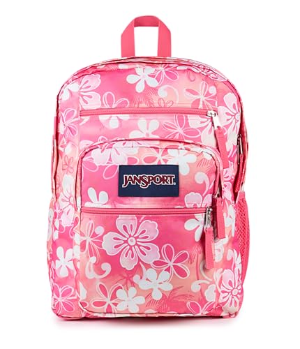 JanSport Laptop Backpack - Computer Bag with 2 Compartments, Ergonomic Shoulder Straps, 15 Laptop Sleeve, Haul Handle - Hiblisscus