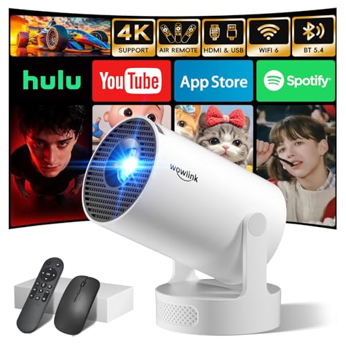 Wowlink W210 (White)